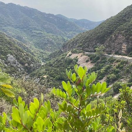 شقة Casa Buitreras El Colmenar المظهر الخارجي الصورة
